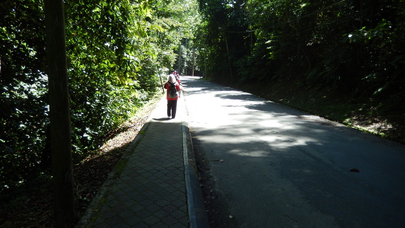 0785 DSCN0713